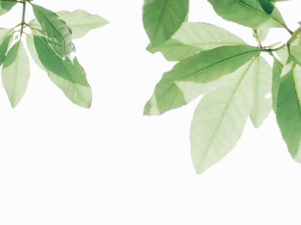 四种单位员工在职工作证明范本怎么写(随意拨打110会承担法律责任吗)