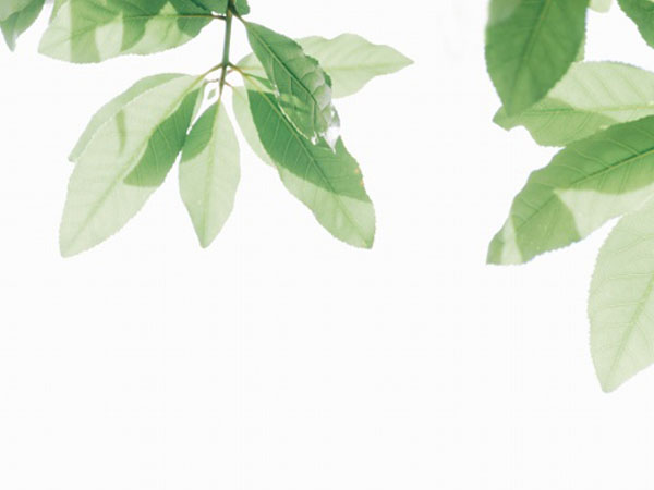 办理信用卡工作证明(办理信用卡工作证明范本)