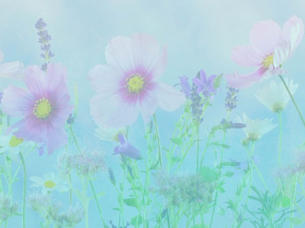 公务员遗孀享受的抚恤金标准是什么(管制刑的适用对象有哪些)