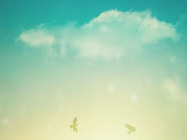 信用卡的工作证明怎么写(信用卡工作证明)