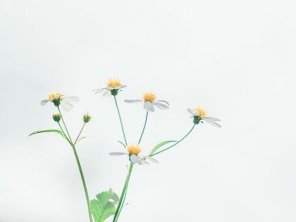 当兵一年能拿多少补贴(当兵有安置卡的亲属有什么待遇)