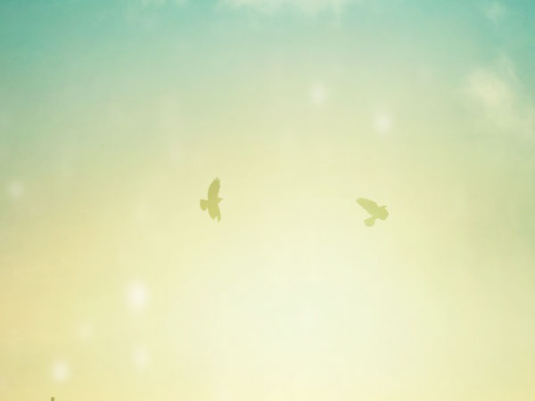 当兵退伍后的档案有什么用处(当兵退伍后可以直接当警察吗)