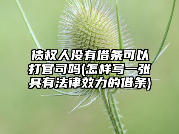 债权人没有借条可以打官司吗(怎样写一张具有法律效力的借条)
