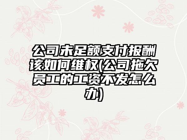公司未足额支付报酬该如何维权(公司拖欠员工的工资不发怎么办)