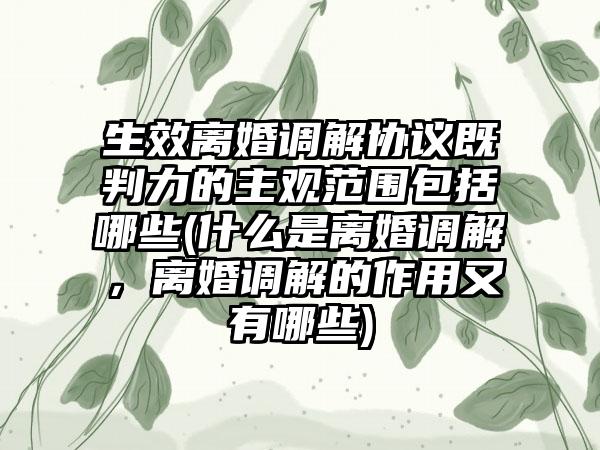 生效离婚调解协议既判力的主观范围包括哪些(什么是离婚调解，离婚调解的作用又有哪些)