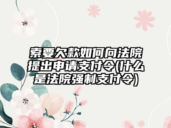 索要欠款如何向法院提出申请支付令(什么是法院强制支付令)