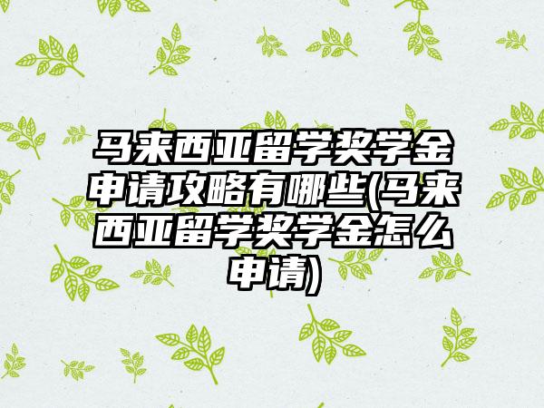 马来西亚留学奖学金申请攻略有哪些(马来西亚留学奖学金怎么申请)