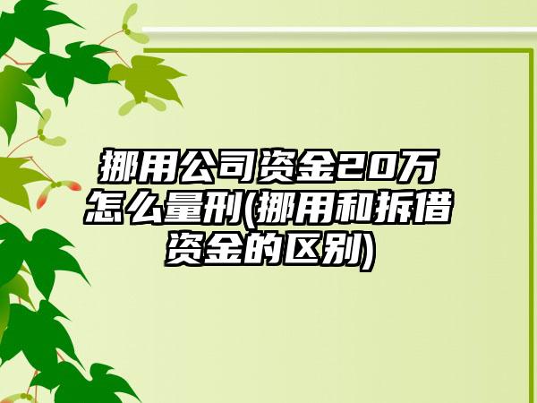 挪用公司资金20万怎么量刑(挪用和拆借资金的区别)