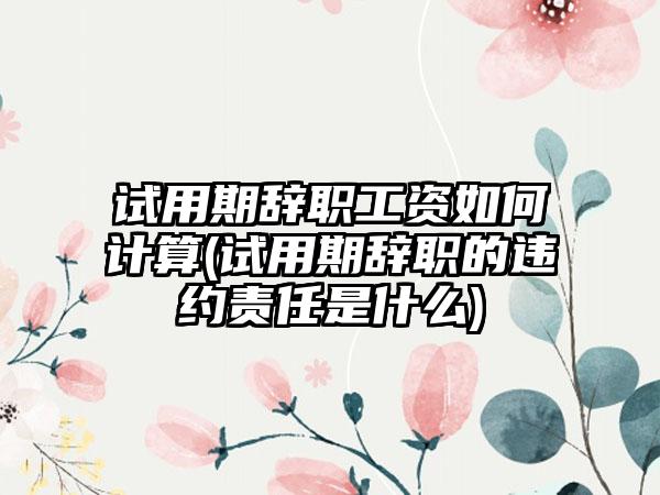 试用期辞职工资如何计算(试用期辞职的违约责任是什么)