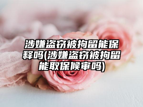 涉嫌盗窃被拘留能保释吗(涉嫌盗窃被拘留能取保候审吗)