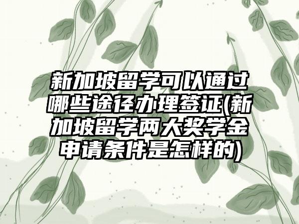 新加坡留学可以通过哪些途径办理签证(新加坡留学两大奖学金申请条件是怎样的)