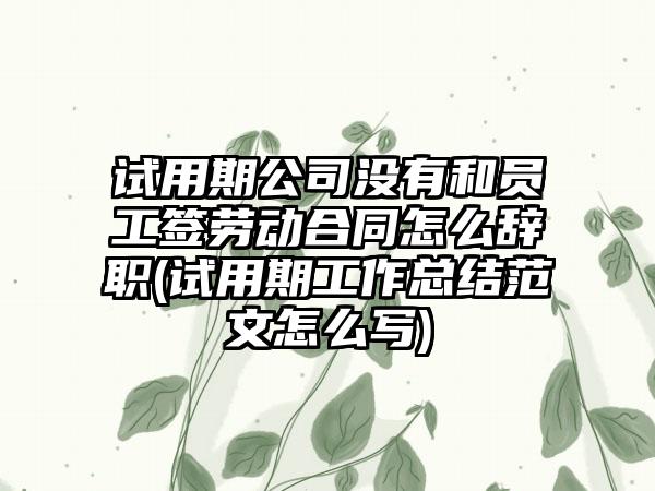 试用期公司没有和员工签劳动合同怎么辞职(试用期工作总结范文怎么写)