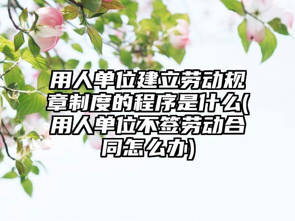 用人单位建立劳动规章制度的程序是什么(用人单位不签劳动合同怎么办)