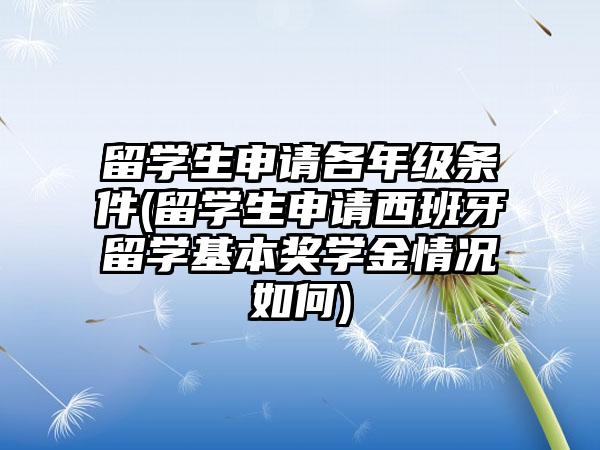 留学生申请各年级条件(留学生申请西班牙留学基本奖学金情况如何)