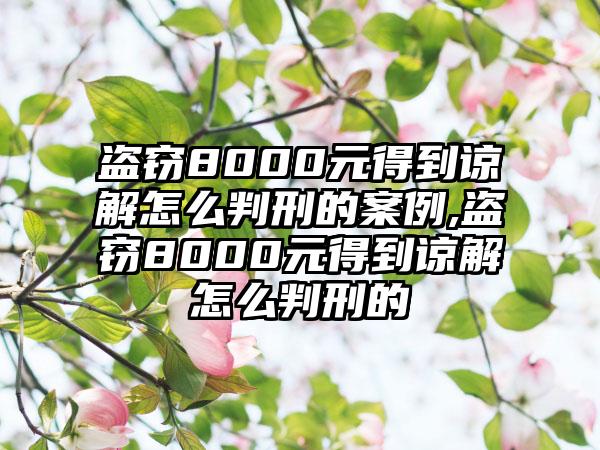 盗窃8000元得到谅解怎么判刑的案例,盗窃8000元得到谅解怎么判刑的
