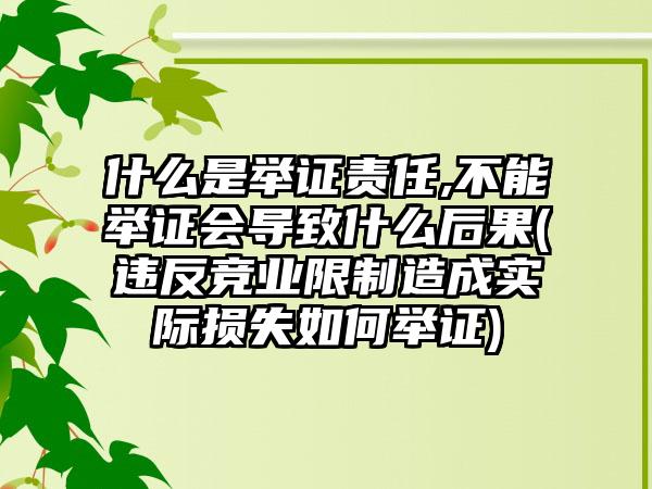 什么是举证责任,不能举证会导致什么后果(违反竞业限制造成实际损失如何举证)