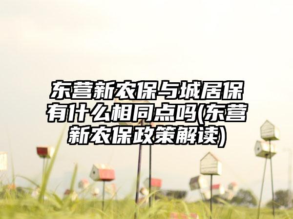 东营新农保与城居保有什么相同点吗(东营新农保政策解读)