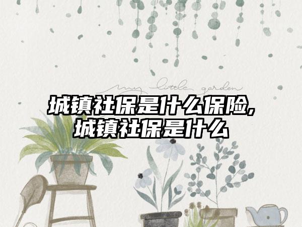 城镇社保是什么保险,城镇社保是什么
