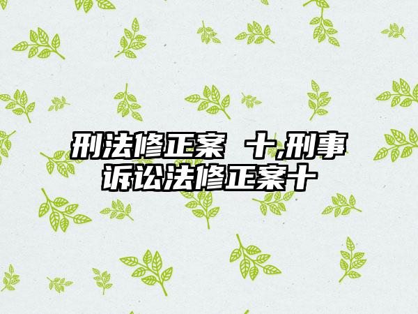 刑法修正案 十,刑事诉讼法修正案十