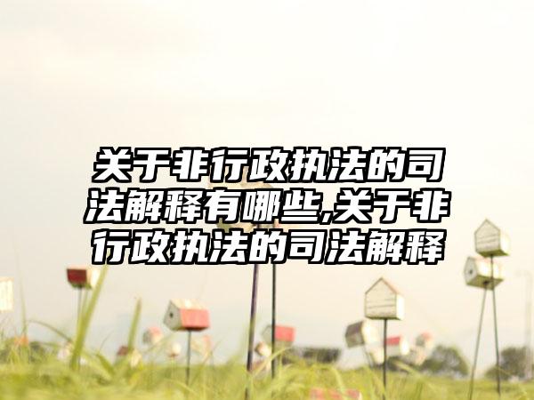 关于非行政执法的司法解释有哪些,关于非行政执法的司法解释