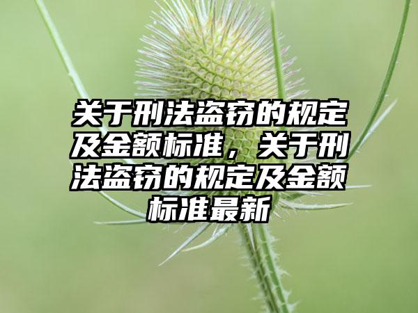 关于刑法盗窃的规定及金额标准，关于刑法盗窃的规定及金额标准最新