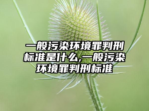 一般污染环境罪判刑标准是什么,一般污染环境罪判刑标准