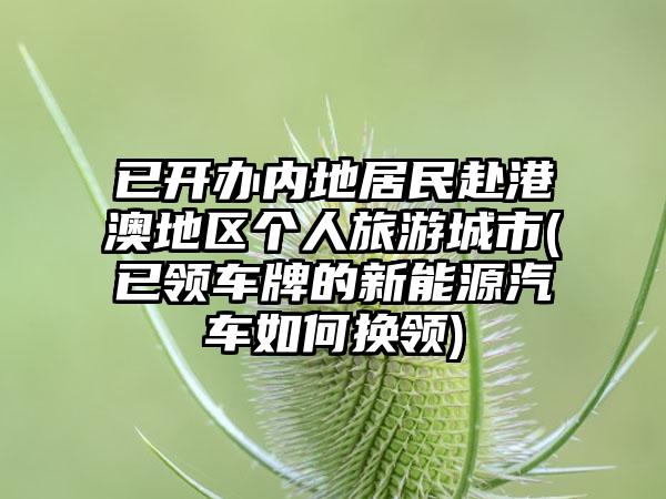 已开办内地居民赴港澳地区个人旅游城市(已领车牌的新能源汽车如何换领)