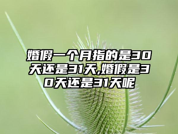 婚假一个月指的是30天还是31天,婚假是30天还是31天呢