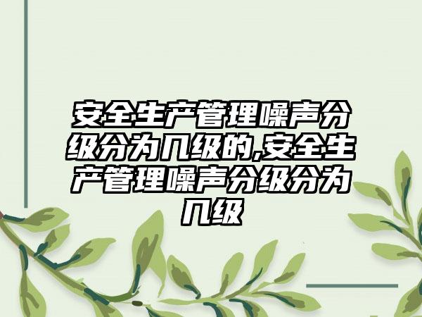 安全生产管理噪声分级分为几级的,安全生产管理噪声分级分为几级