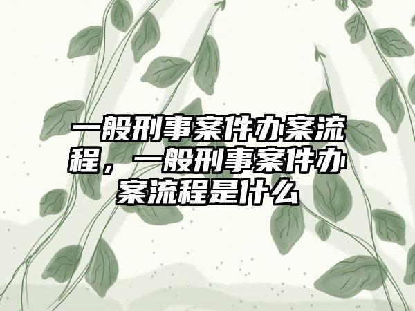 一般刑事案件办案流程，一般刑事案件办案流程是什么