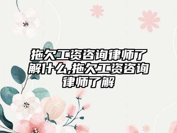 拖欠工资咨询律师了解什么,拖欠工资咨询律师了解