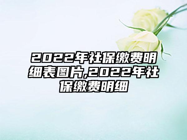 2022年社保缴费明细表图片,2022年社保缴费明细