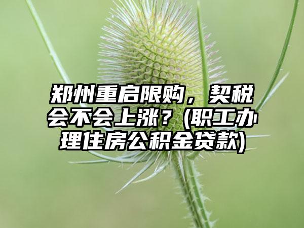 郑州重启限购，契税会不会上涨？(职工办理住房公积金贷款)