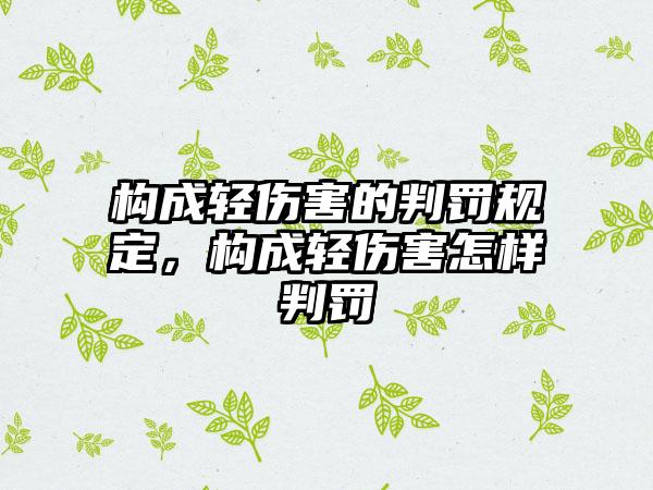 构成轻伤害的判罚规定，构成轻伤害怎样判罚
