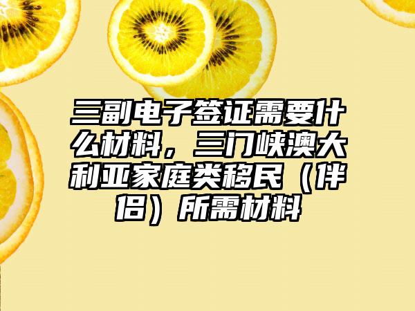 三副电子签证需要什么材料，三门峡澳大利亚家庭类移民（伴侣）所需材料