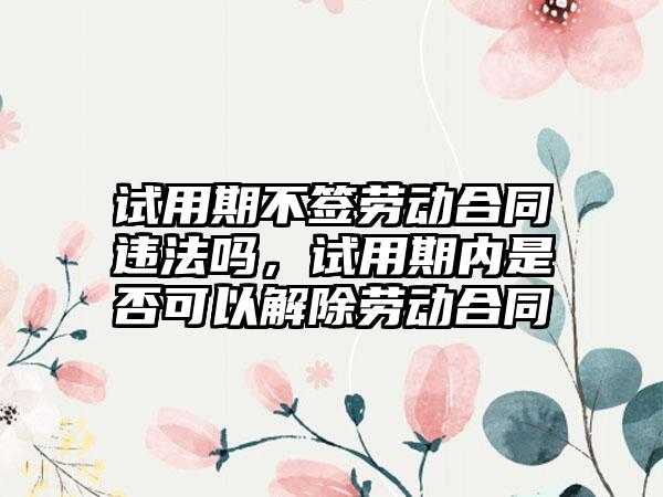 试用期不签劳动合同违法吗，试用期内是否可以解除劳动合同