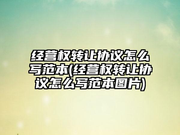 经营权转让协议怎么写范本(经营权转让协议怎么写范本图片)