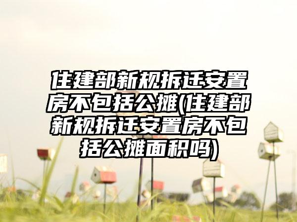 住建部新规拆迁安置房不包括公摊(住建部新规拆迁安置房不包括公摊面积吗)