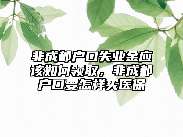 非成都户口失业金应该如何领取,非成都户口要怎样买医保