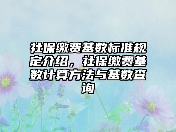 社保缴费基数标准规定介绍，社保缴费基数计算方法与基数查询