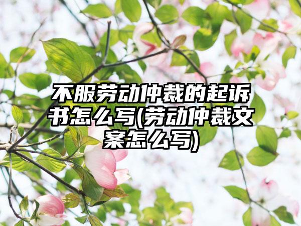 不服劳动仲裁的起诉书怎么写(劳动仲裁文案怎么写)