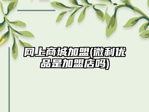 网上商城加盟(微利优品是加盟店吗)