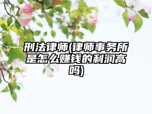 刑法律师(律师事务所是怎么赚钱的利润高吗)