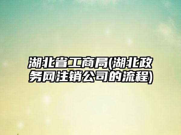 湖北省工商局(湖北政务网注销公司的流程)