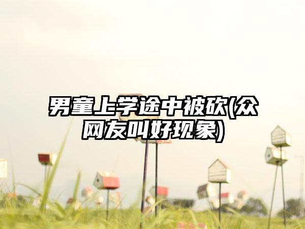 男童上学途中被砍(众网友叫好现象)