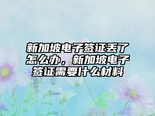 新加坡电子签证丢了怎么办，新加坡电子签证需要什么材料
