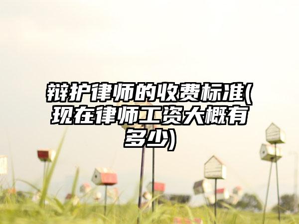 辩护律师的收费标准(现在律师工资大概有多少)