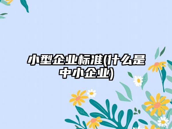 小型企业标准(什么是中小企业)