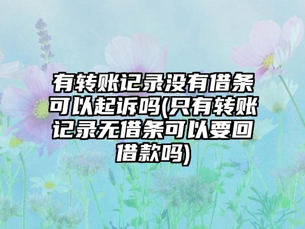 有转账记录没有借条可以起诉吗(只有转账记录无借条可以要回借款吗)