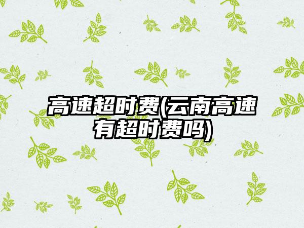 高速超时费(云南高速有超时费吗)